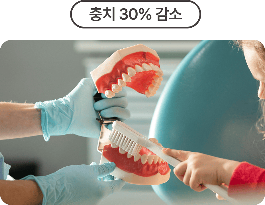 올바른 칫솔질 교육